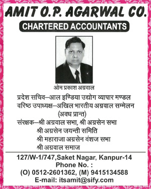Amit OP Agarwal & Co. , Charted Accountant